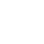 Software Systems