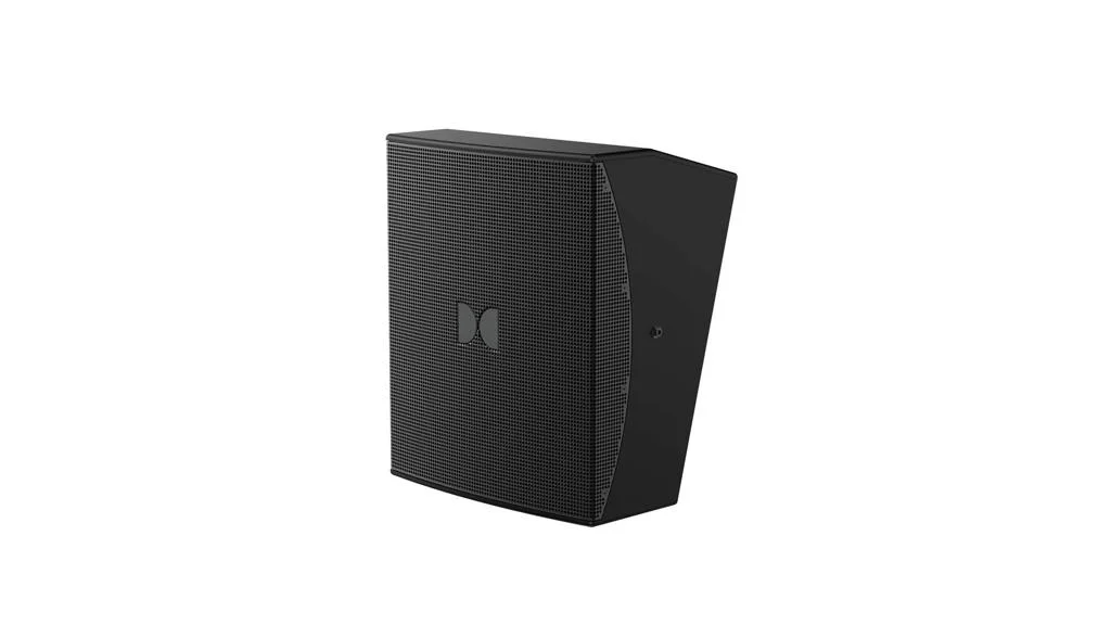 Dolby DSR1090 10 Inch Two-Way Surround Speaker