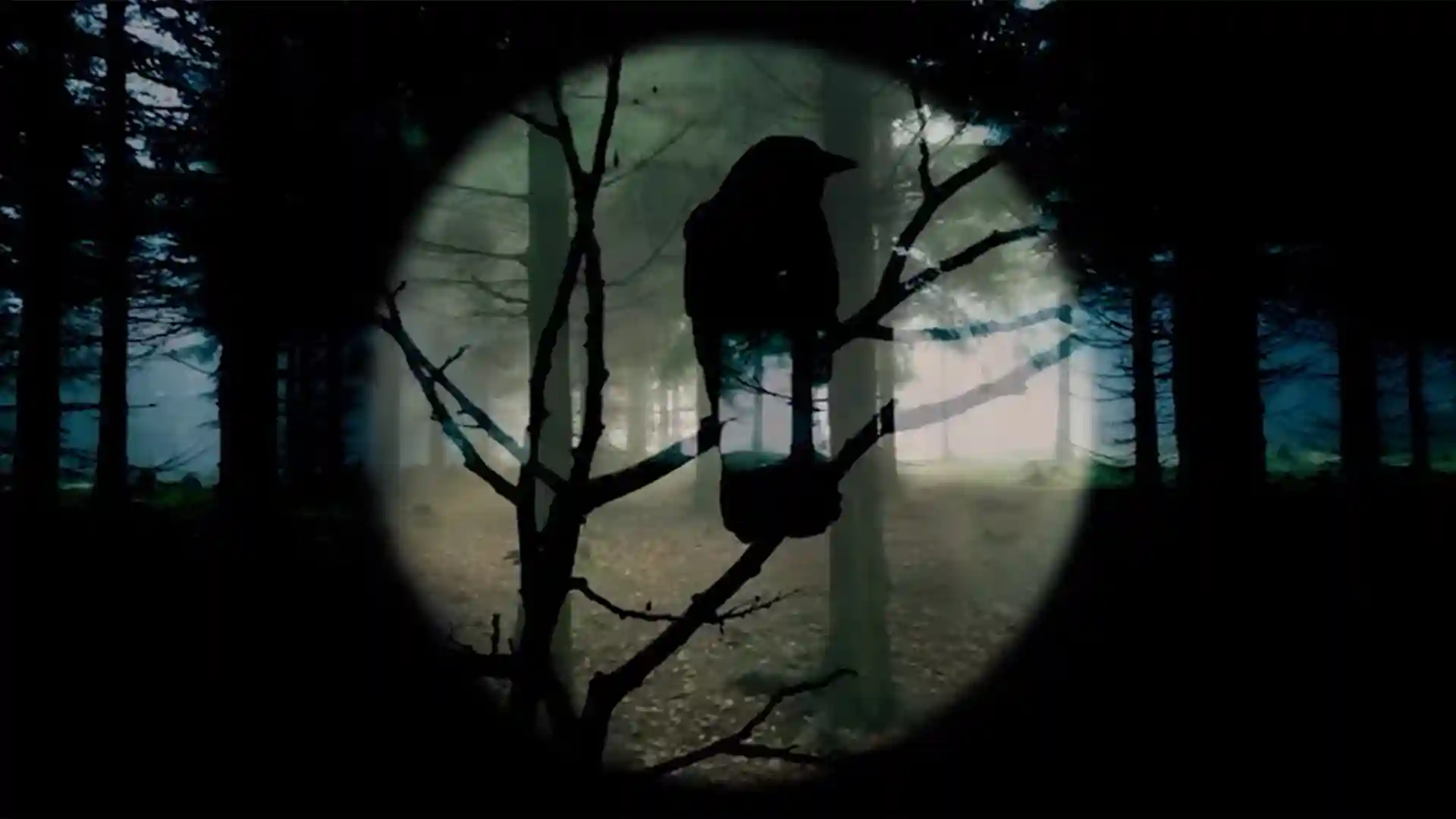 Maxon Universe utilities for camera motion, compositing, and video editing