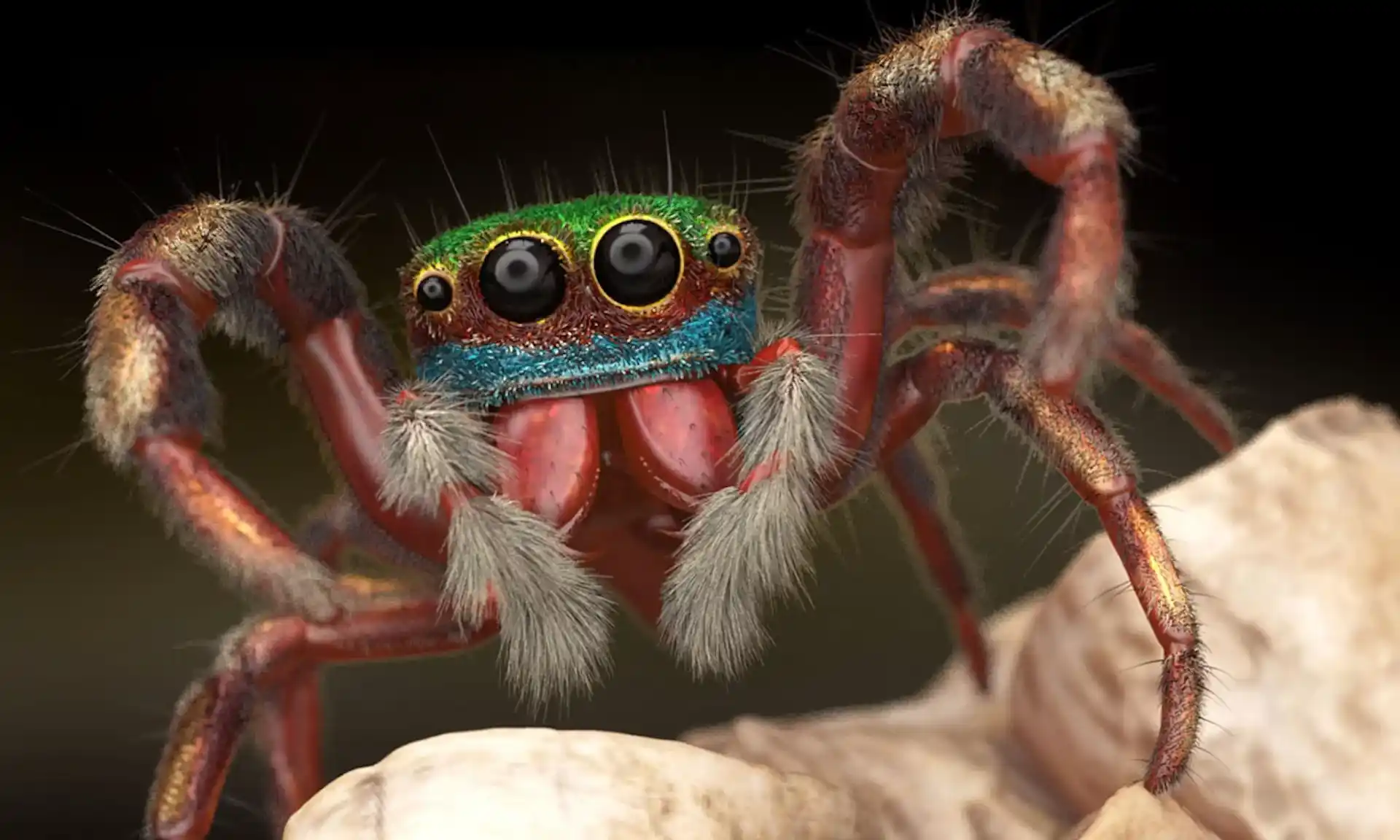 ZBrush modeling for scientific and anatomical visualization