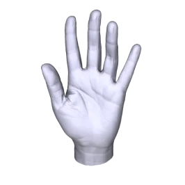 Polyga H3 3D scanner