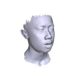 Polyga H3 3D scanner